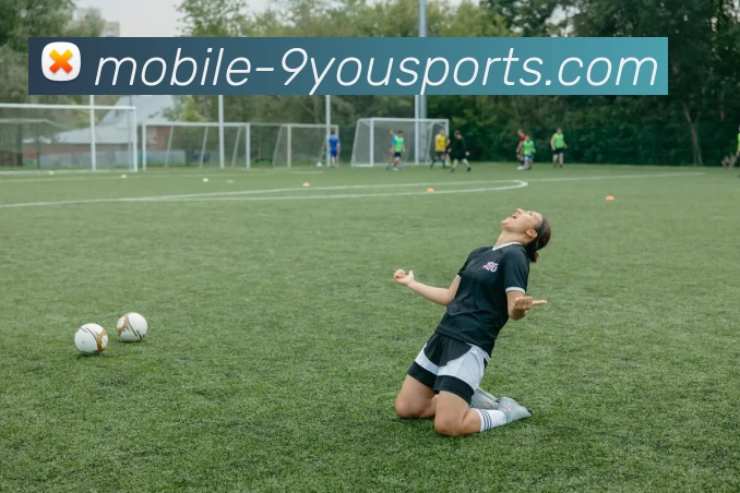 九游体育官网平台生态图